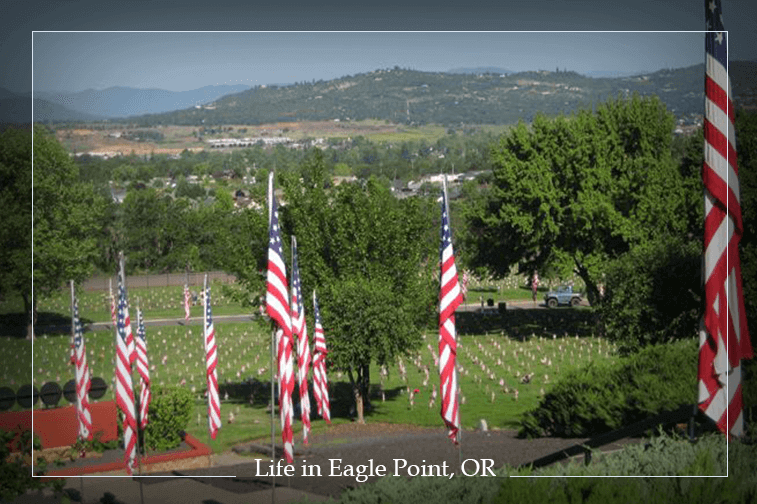 2016-11-day-in-the-life-cemetaery-flags