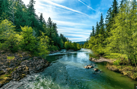 Chamber- Newsletter Image